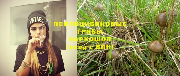 героин Богданович