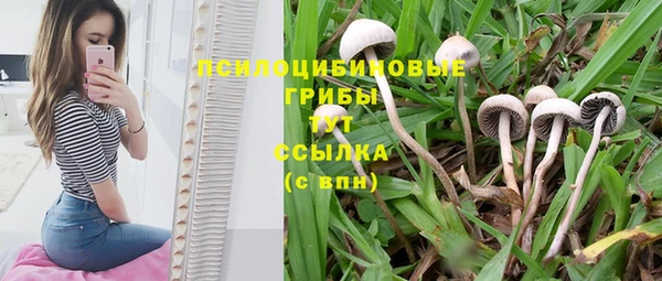 винт Богородицк