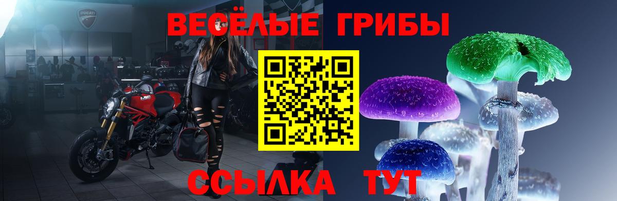 Улан-Удэ  хочу наркоту  Галлюциногенные грибы мицелий  Вход с VPN  Псилоцибиновые грибы Psilocybine cubensis 